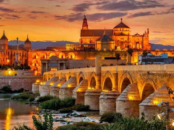 Explorando la magia de Ronda y Setenil de las Bodegas: Tesoros de Málaga que debes descubrir.